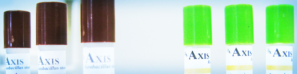 Bacillus atrophaeus and Geobacillus stearothermophilus Image 2